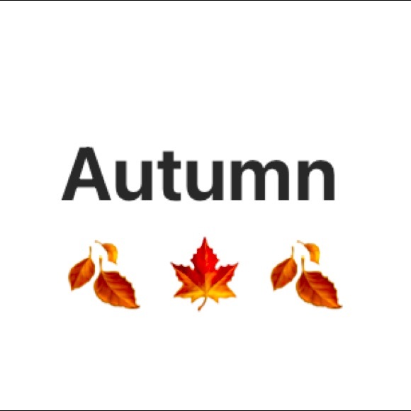 Items for Fall! 🍁 - Picture 1 of 1
